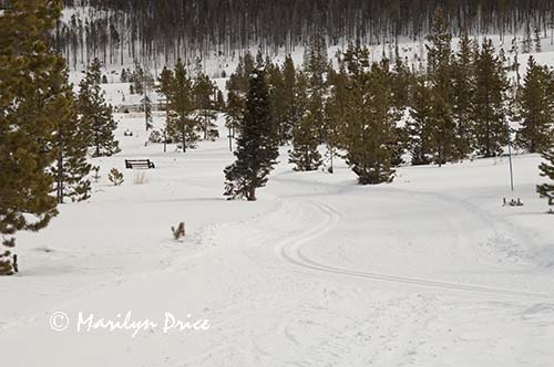 Cross country ski trail, Frisco Nordic Center, Frisco, CO