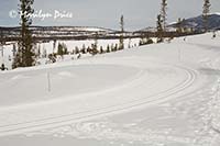 Cross country ski trail, Frisco Nordic Center, Frisco, CO