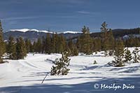 Cross country ski trail, Frisco Nordic Center, Frisco, CO