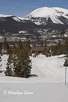 Cross country ski trail returns to the lodge, Frisco Nordic Center, Frisco, CO