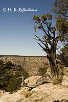 Hermit Trail trailhead, Grand Canyon National Park, AZ