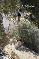 A fellow hiker on the Hermit Trail, Grand Canyon National Park, AZ