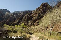 View of the South Rim of the Grand Canyon from Phantom Ranch, Grand Canyon National Park, AZ