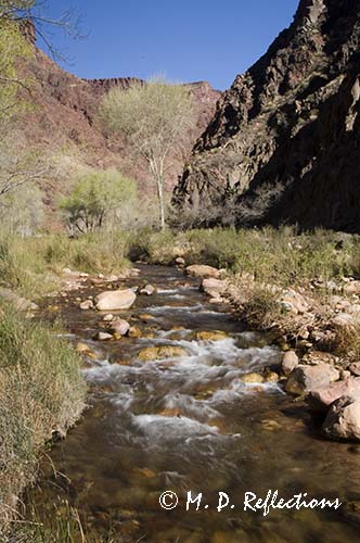 Bright Angel Creek, Grand Canyon National Park, AZ