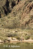 Fishermen on the banks of the Colorado River are dwarfed by the canyon walls above them, Grand Canyon National Park, AZ