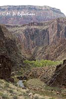 Phantom Ranch and cottonwood trees, from Clear Creek Trail, Grand Canyon National Park, AZ