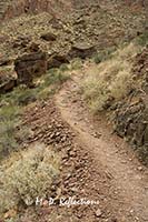 Lower portion of the Clear Creek Trail, Grand Canyon National Park, AZ