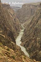 Colorado River and inner canyon from Clear Creek Trail, Grand Canyon National Park, AZ