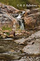 Small waterfall, Pipe Creek, Bright Angel Trail, Grand Canyon National Park, AZ