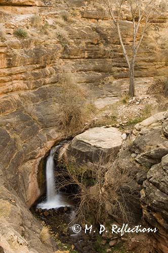 Waterfall, Garden Creek, Grand Canyon National Park, AZ