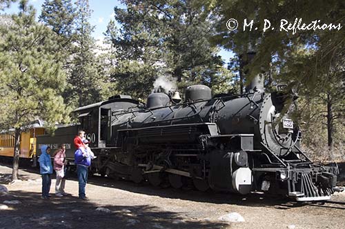 Steam engine for the Durango-Silverton Narrow Gauge Railroad, Durango, CO