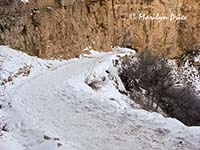 Snow packed Bright Angel Trail, Grand Canyon National Park, AZ