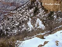 Snow packed Bright Angel Trail, Grand Canyon National Park, AZ