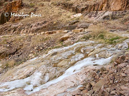 Frozen waterfall on the lower portion of Bright Angel Trail, Grand Canyon National Park, AZ