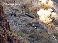 Northern part of Phantom Ranch, Clear Creek Trail, Grand Canyon National Park, AZ