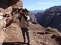 Marilyn with Colorado River in the background, Clear Creek Trail, Grand Canyon National Park, AZ