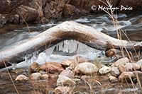 Icicles under a log, Bright Angel Creek, North Kaibab Trail, Grand Canyon National Park, AZ