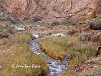 Ice from water main break, North Kaibab Trail, Grand Canyon National Park, AZ