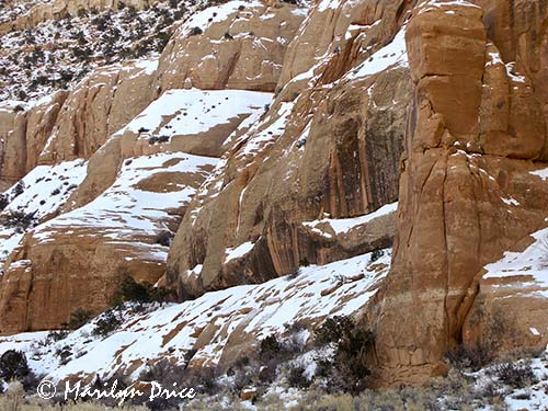 Snow covered slick rock near Moab, UT