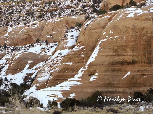 Snow covered slick rock near Moab, UT