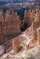 Queen's Garden Trail from Sunset Overlook, Bryce Canyon National Park, UT