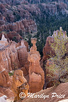 Thor's Hammer, Sunset Overlook, Bryce Canyon National Park, UT