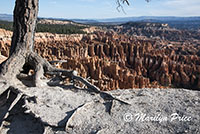 Inspiration Point, Bryce Canyon National Park, UT