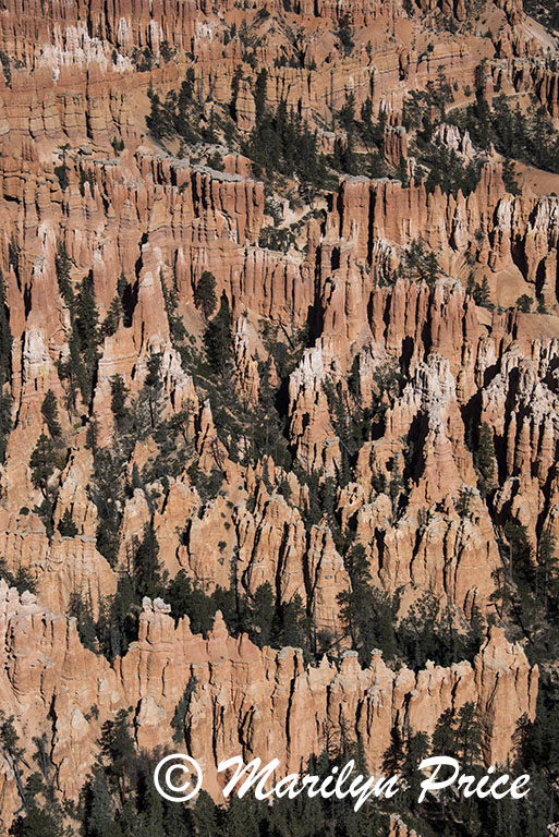 Bryce Point, Bryce Canyon National Park, UT