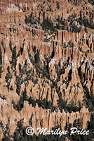 Bryce Point, Bryce Canyon National Park, UT