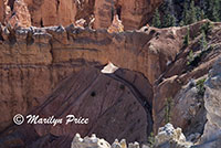 One of the trails below Bryce Point, Bryce Canyon National Park, UT