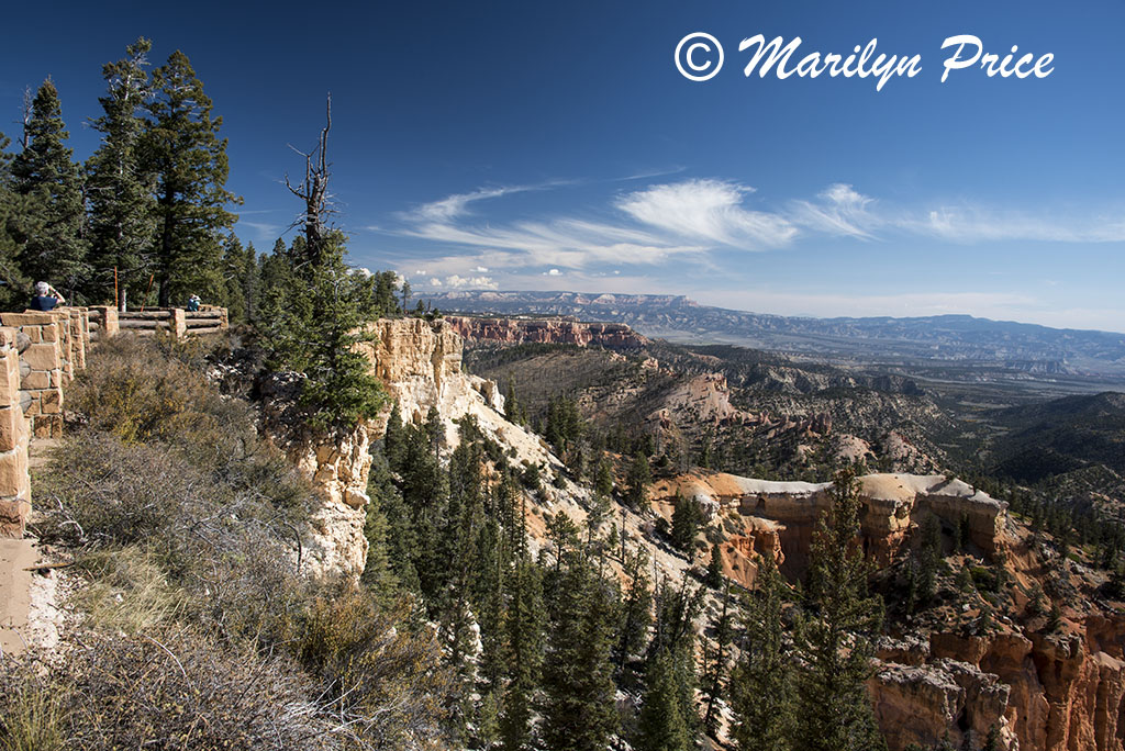 One of the trails below Bryce Point, Bryce Canyon National Park, UT