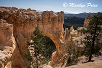 Natural Bridge, Bryce Canyon National Park, UT