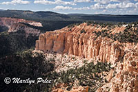 Bristlecone Loop Trail, Bryce Canyon National Park, UT