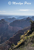 View from the spot where Ken Patrick Trail crosses Cape Royal road, Grand Canyon National Park, AZ