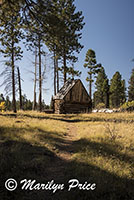 Salt house near Greenland Lake, on Cape Royal road, Grand Canyon National Park, AZ