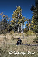 Carl and aspen near Greenland Lake, on Cape Royal road, Grand Canyon National Park, AZ