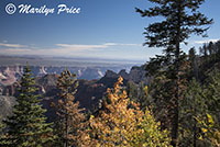 Vista Encantada, on Cape Royal road, Grand Canyon National Park, AZ