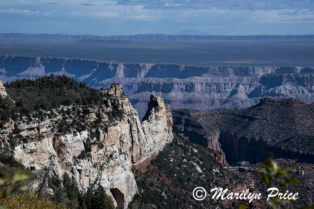 Roosevelt Point overlook, on Cape Royal road, Grand Canyon National Park, AZ Roosevelt Point overlook, on Cape Royal road, Grand Canyon National Park, AZ