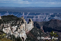 Roosevelt Point overlook, on Cape Royal road, Grand Canyon National Park, AZ