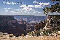 Cape Royal picnic area and wedding site, on Cape Royal road, Grand Canyon National Park, AZ