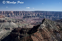 Colorado River from Cape Royal Trail, on Cape Royal road, Grand Canyon National Park, AZ