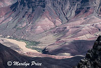 Colorado River from Cape Royal Trail, on Cape Royal road, Grand Canyon National Park, AZ