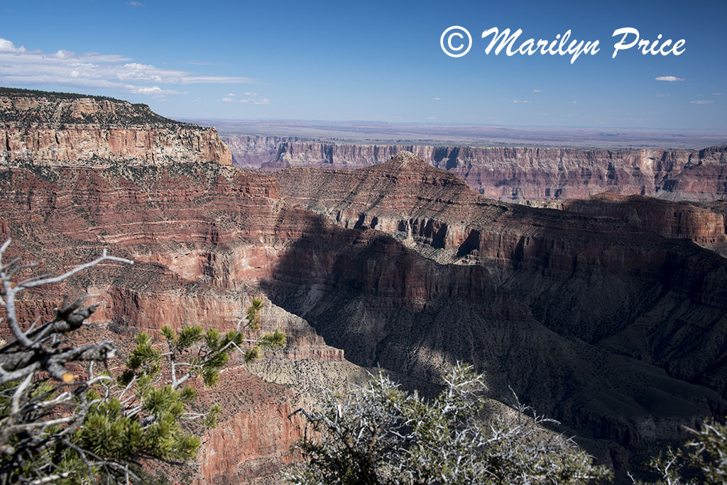 Cape Royal Trail, on Cape Royal road, Grand Canyon National Park, AZ