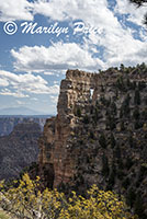 Angel's Window from Cape Royal road, Grand Canyon National Park, AZ