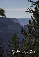 North Kaibab Trail with Mt. Humphries, Grand Canyon National Park, AZ