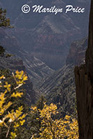 North Kaibab Trail, Grand Canyon National Park, AZ