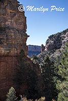 Cliff Springs Trail, Grand Canyon National Park, AZ