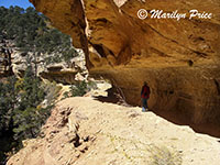 Marilyn, Cliff Springs Trail, Grand Canyon National Park, AZ