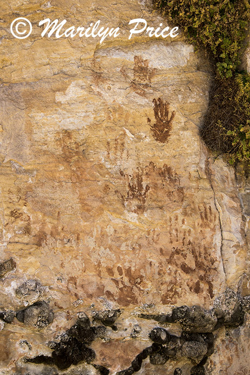 Handprints above the springs, Cliff Springs Trail, Grand Canyon National Park, AZ