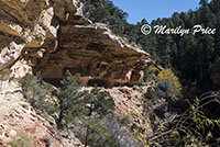 Cliff Springs Trail, Grand Canyon National Park, AZ